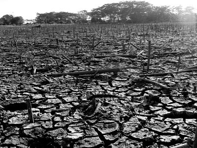 Sequera a Guatemala.