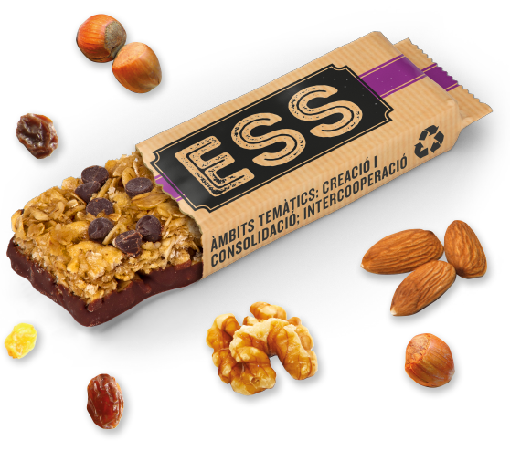 subvencions ess