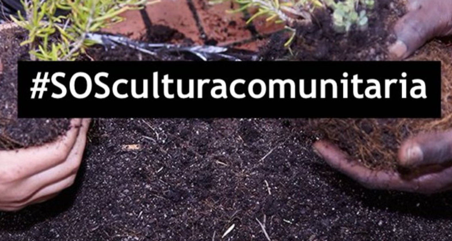 Cultura comunitària