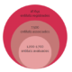 Informe mercat social 2022