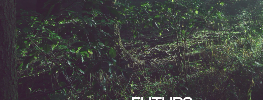 Guia escenaris futur