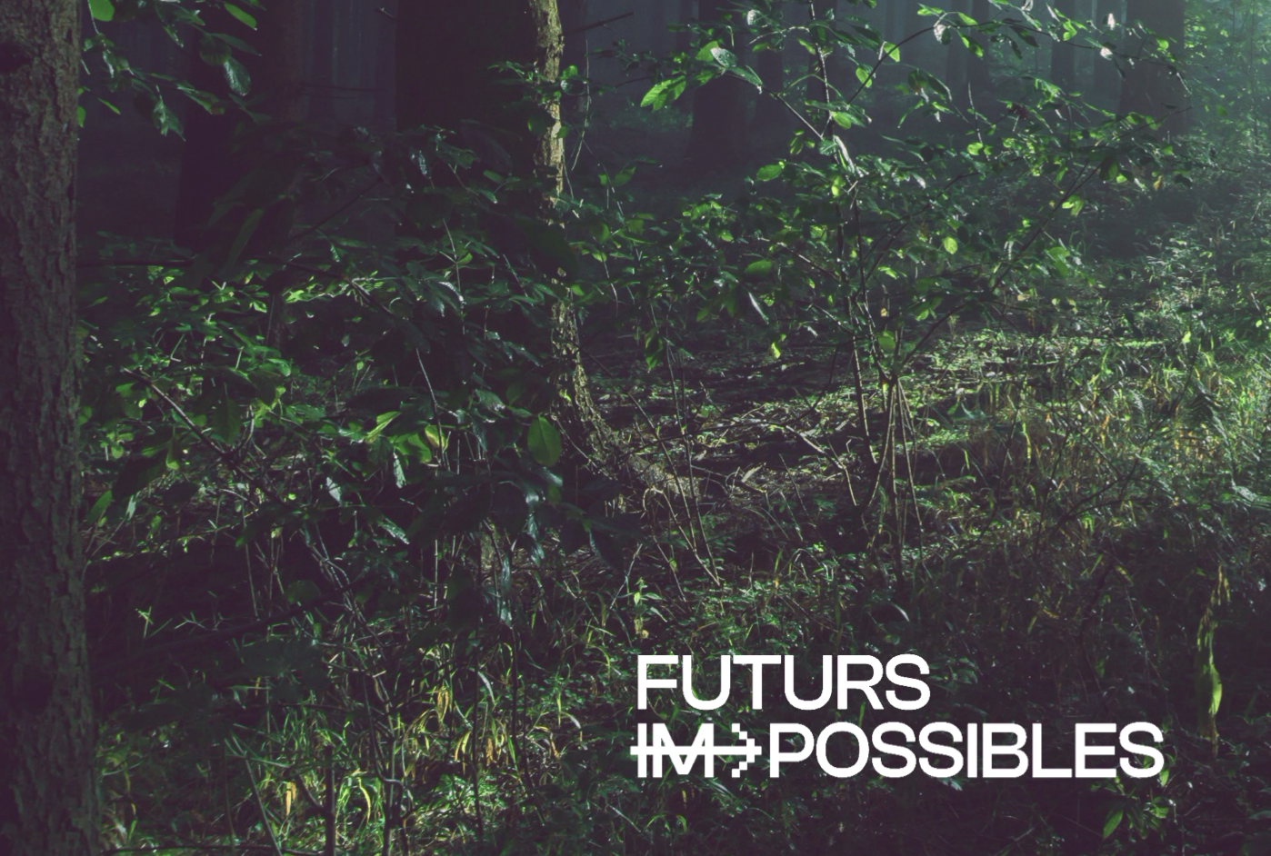 Guia escenaris futur
